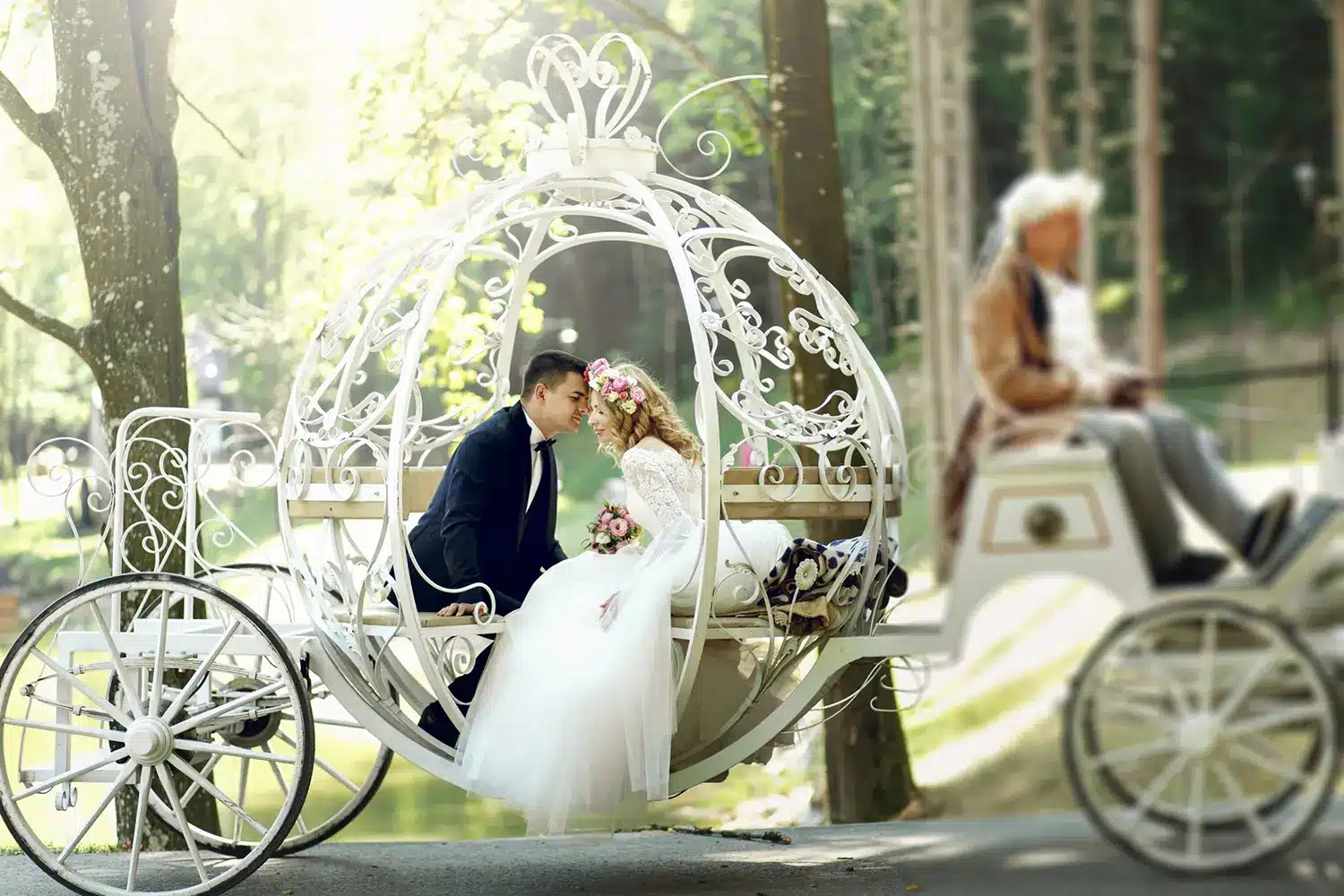 Bride and groom sitting in a Fairytale wedding carriage 